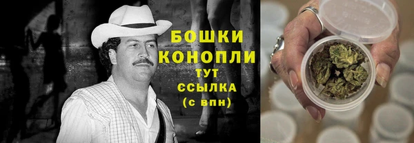 СК Вяземский